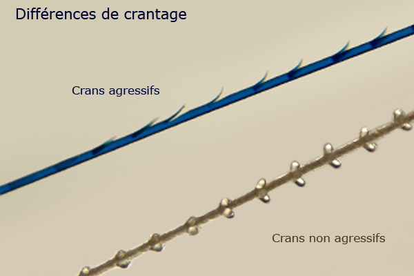 Différence de crantage, fil cranté agressif et non agressif 